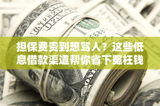 济南担保费贵到想骂人？这些低息借款渠道帮你省下冤枉钱