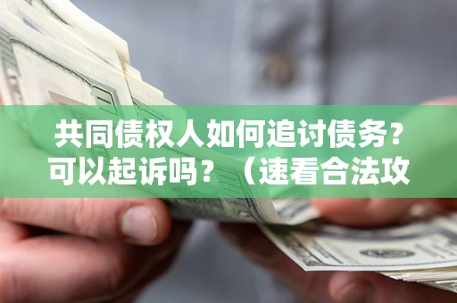 济南共同债权人如何追讨债务？可以起诉吗？（速看合法攻略）